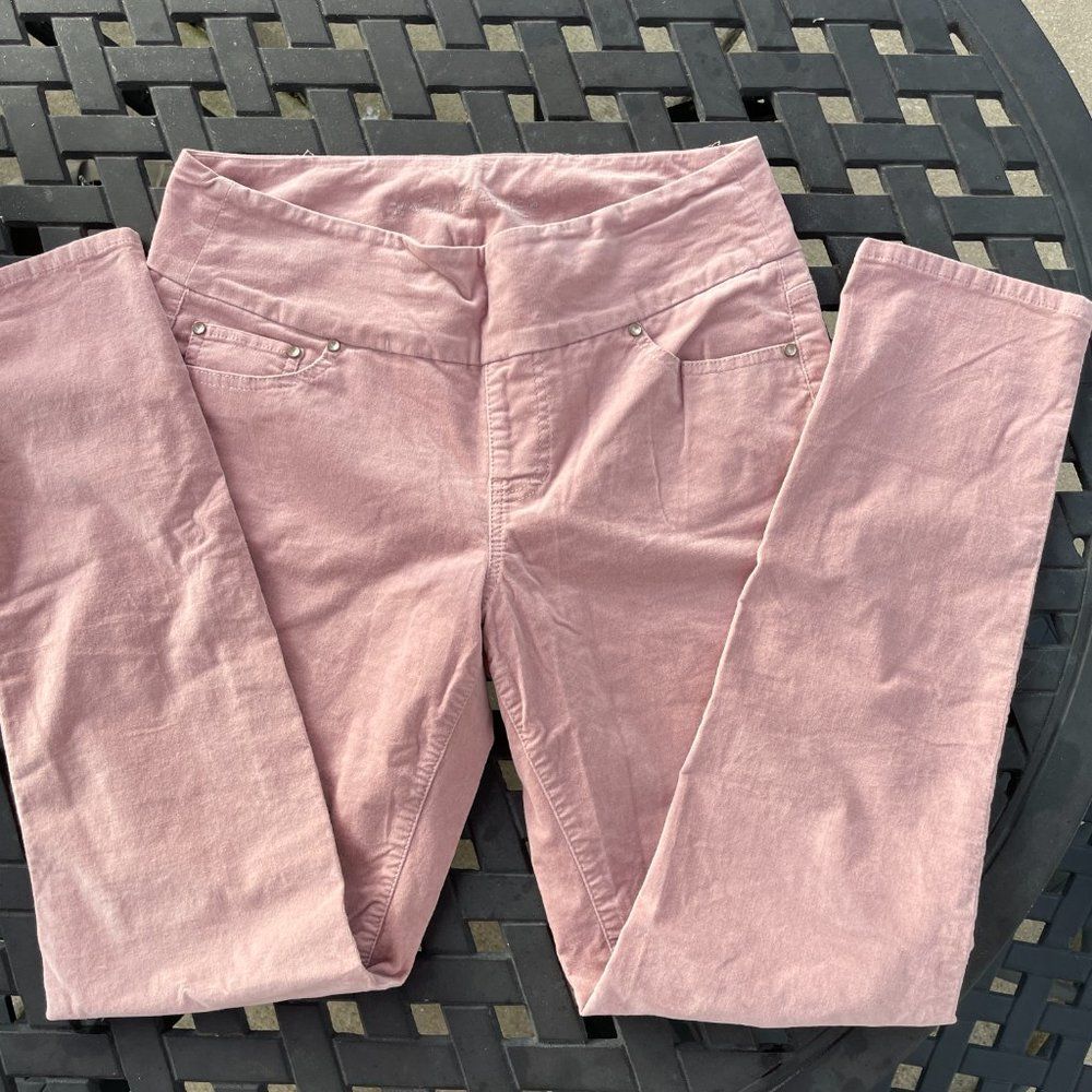 JAG Nora High Waist Skinny Velveteen Dusty Rose Jegging Jean 10 / 30